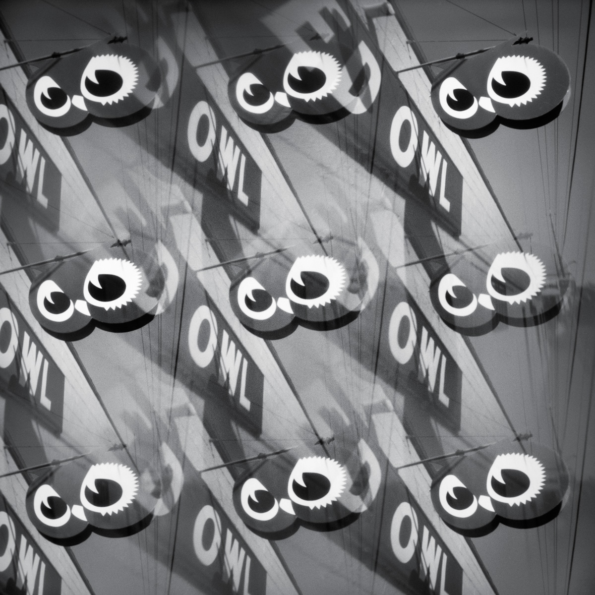 Red Owls - pinhole camera photograph