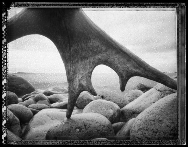 Antler and Cobbles, Isle Royale - pinhole camera photograph