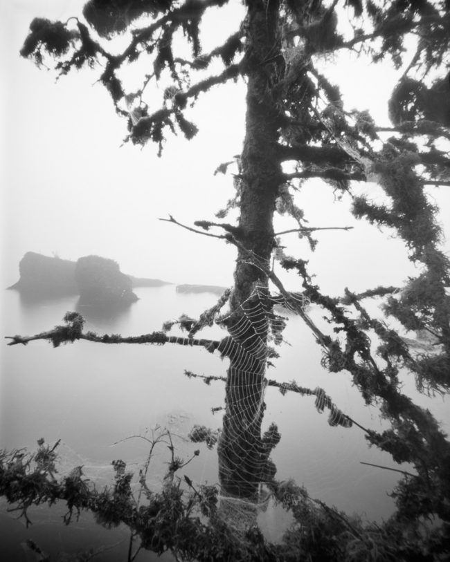 Merritt Lane, Isle Royale - pinhole camera photograph